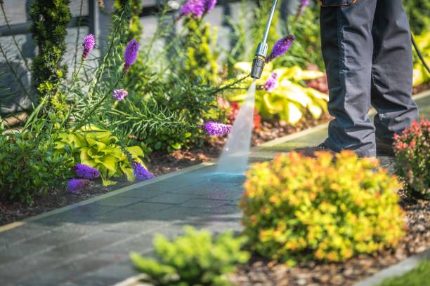 Reliable Bay Point, CA  Pressure Washing Services Solutions